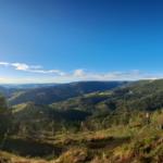 Warum in die Ferne schweifen, wenn der Schwarzwald doch so nah?!