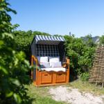 Hängesessel mit Streifenmarkise und Kissen im Garten