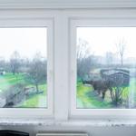 Durch das Fenster blickt man auf einen grünen Garten mit Bäumen und einem kleinen Holzhaus.