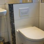 WC mit Wandmontage, Mosaikverkleidung und Pflanze auf der Konsole.