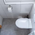 WC mit Toilettenpapierhalter, Pflanze und grauem Bodenbelag.