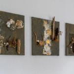 Drei Wandobjekte mit Holz, Muscheln und natürlichen Materialien