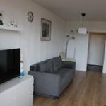 Living room with sofa, TV, and wooden floor