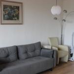 Gray sofa, cream armchair, floor lamp, and wall picture in living room.