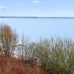 Seascape view from a cliff with trees and shrubs in the foreground.