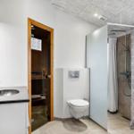 Bathroom with shower, toilet, and sink. Sauna is visible in the background.