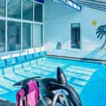 Pool with dolphin float and wall mural of palm trees and sun.