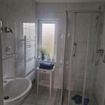 Badezimmer mit Dusche, Waschbecken und Toilette. Fenster mit Pflanze und Handtuch.
