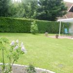 Hinterhof mit Rasen, Hecke und Terrasse mit Stühlen.