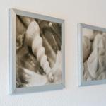 Zwei gerahmte Fotos mit Muscheln an der Wand