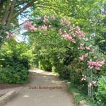 Rosengarten an der Bummel-Allee 
Hier hat*s viele Einkehrmöglichkeiten oder 
nur so zum sitzen an der Radau unter ur-alten Kastanienbäumen