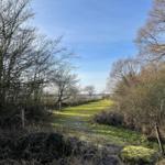 Weg durch Gras und Bäume zum Wasser führt.