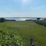 Grüner Rasenhang mit Blick auf ruhiges Wasser und Bäume im Hintergrund.