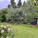 Hinterhof mit Grasfläche, Bäumen und kleinem Haus mit weißen Fenstern.