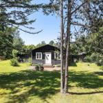 Schwarzes Holzhaus mit weißer Tür, umgeben von Gras und Bäumen.