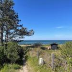 Weg führt durch Grünland zum Strand und See. Holzhaus und Baum sind sichtbar.