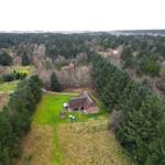 Haus mit Garten und Wald, Luftaufnahme