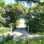 Eingangsweg durch Bäume zum Strand