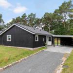 Schwarzes Haus mit Garage und Rasenfläche zwischen Bäumen.