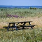 Holzpicknicktisch in Grasland mit blauem Himmel und wilden Blumen im Hintergrund.