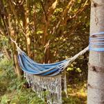 A blue-and-white striped hammock hangs between two trees outdoors.