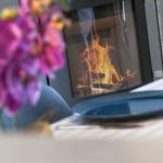 Ein Kamin mit brennendem Feuer, ein Teller auf einem Tisch und eine Orchidee im Vordergrund.