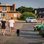 Ein Paar spaziert mit Hund durch eine Straße mit geparkten Autos und Häusern.