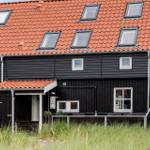 Schwarzes Holzhaus mit rotem Ziegeldach und Dachfenstern