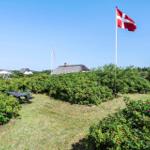 Grüner Garten mit Picknicktisch, dänische Flagge und Häuser im Hintergrund.