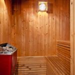 Sauna mit Holzwand und Sitzbank, roter Ofen und Wandlampe.