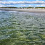 Clear water at the beach with dunes in the background.
