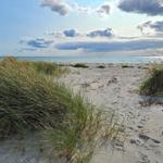 Beach with dunes grass and sea under blue sky with clouds