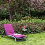 Lounger with stripes on lawn, small table with flowers and drinks.
