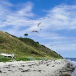 Beach with dunes, paragliders, and a boat.