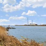 Wasserufer mit Steg, Schilf und Blick auf Industriegebäude im Hintergrund.