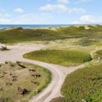 Dünenlandschaft mit rustikalen Anker und Weg zum Meer