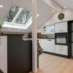 Küche mit Schrank und Fenster, Dachfenster und Holzboden