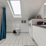 Badezimmer mit Dusche, Toilette und Waschmaschine unter Dachschrägen.