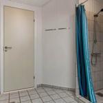 Badezimmer mit Dusche, blauer Vorhang und weißer Tür.