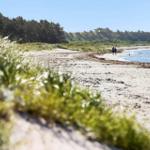 Beach with grass in the foreground and two people by the water.