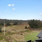 Weitläufiger Blick auf grasbewachsenen Hang mit Bäumen und klarer Himmel
