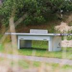 Outdoor table tennis table surrounded by greenery and trees in the background.
