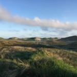 Grüne Dünenlandschaft unter blauem Himmel mit weißen Wolken.