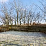 Frosted garden with wooden fence, bare trees, and small shed on sunny day.