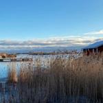 Rotes Haus am Wasser mit Schnee und Schilf