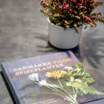 Ein Buch und eine Pflanze auf einer Tischplatte.