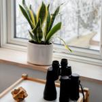 Auf dem Fensterbrett steht eine Pflanze und ein Fernglas auf einem Tisch.