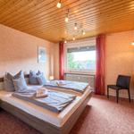 Schlafzimmer mit Doppelbett, Fenster, TV und Nachttisch.