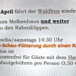 Der Waldbus fährt wieder......