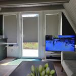 Wohnzimmer mit Fernseher, Fenster und Blumen auf Tisch